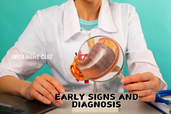 Early signs and diagnosis at Iniya Home Care in Pollachi. A healthcare professional uses a magnifying glass to examine a heart model, symbolizing the importance of early detection in patient care. This image highlights the proactive approach to diagnosing and managing health conditions for home care clients