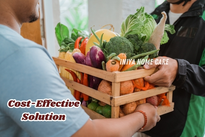Fresh vegetables delivered as part of Iniya Home Care’s affordable home cooking service in Pollachi, a cost-effective and healthy care solutions